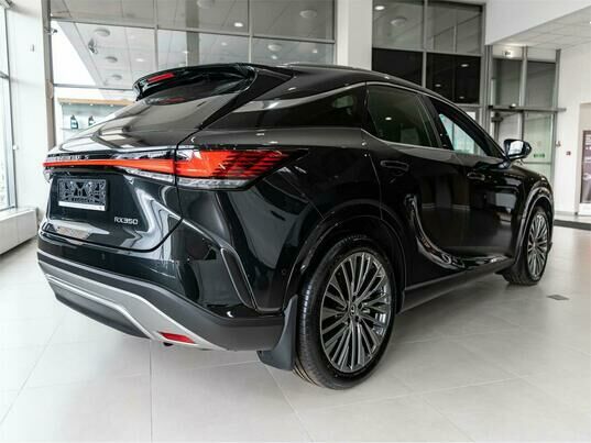 Lexus RX Luxury