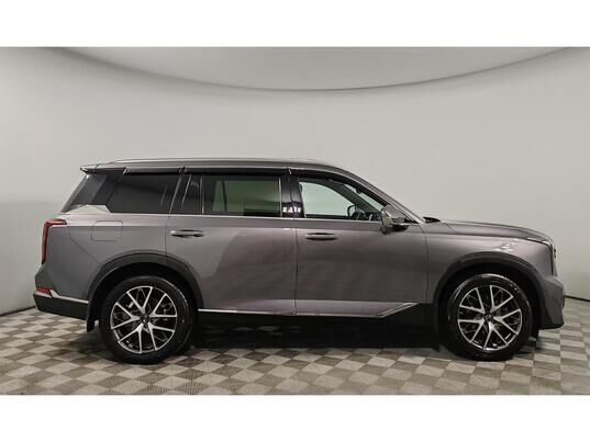 GAC GS8, 2024 г., 24 461 км